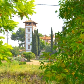 Xatonada Popular a Cunit