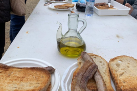 Festa de l'Oli d'Almoster