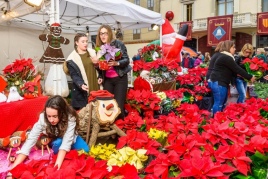 Fira de la Puríssima a Sant Boi de Llobregat