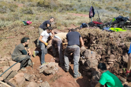 Semaine de la pierre sèche 2025