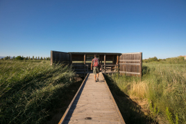 Visites guiades gratuïtes a la Séquia Major de Vila-seca