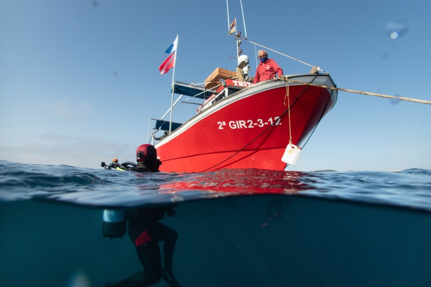 Triton Diving Llafranc (Triton Diving Llafranc)