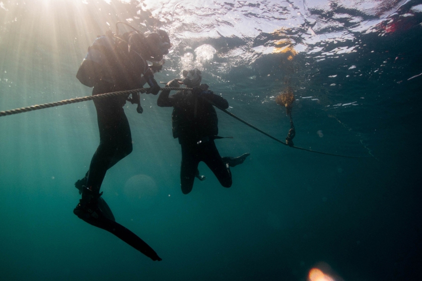 Triton Diving Llafranc (Triton Diving Llafranc)