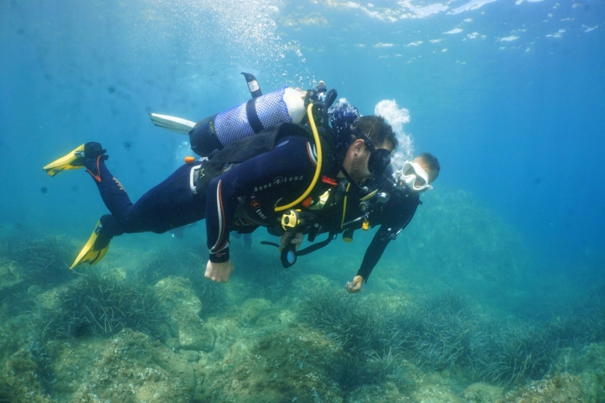 Triton Diving Llafranc (Triton Diving Llafranc)