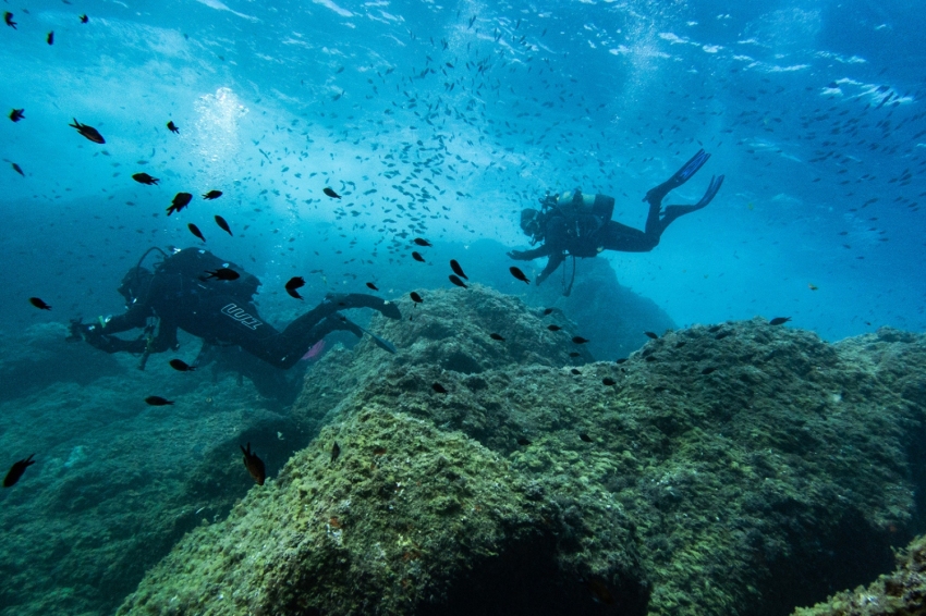 Triton Diving Llafranc (Triton Diving Llafranc)