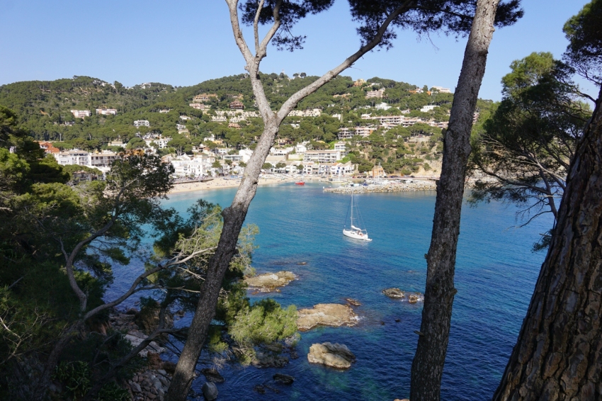 Triton Diving Llafranc (Triton Diving Llafranc)