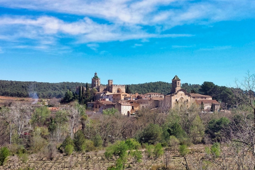 Reial Monestir de Santes Creus (Vista Monestir Santes Creus)