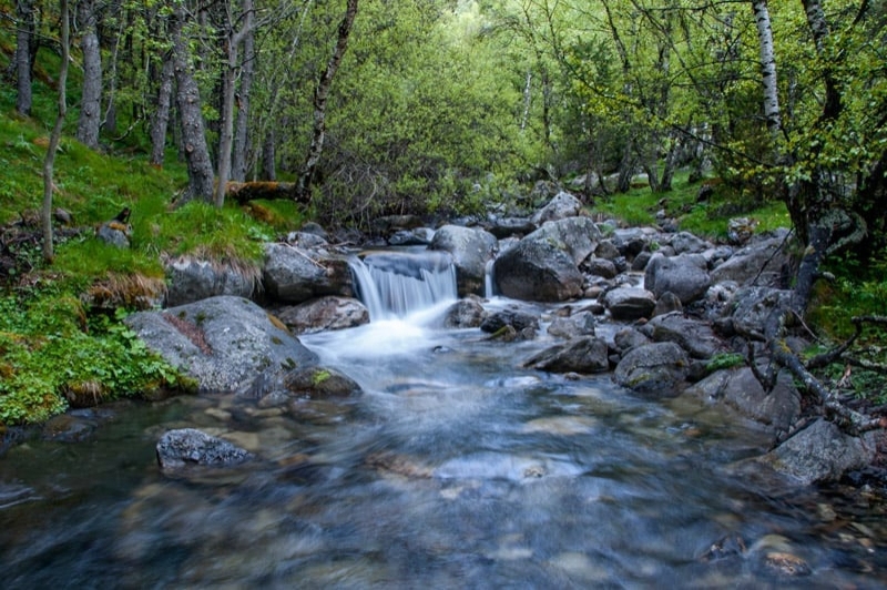 Carros de Foc (Baixada Del Riu)