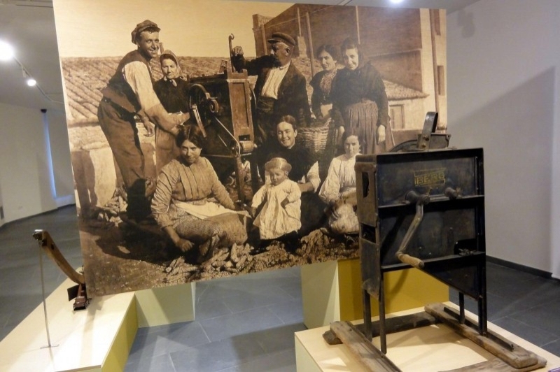 Museu de Sant Boi de Llobregat (Museu De Sant Boi De Llobregat)