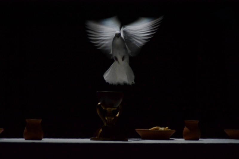 La Passió dEsparreguera (La Passio DEsparreguera Colom)