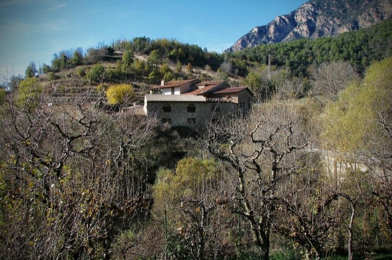 Cal Roig (Vista De La Masia)