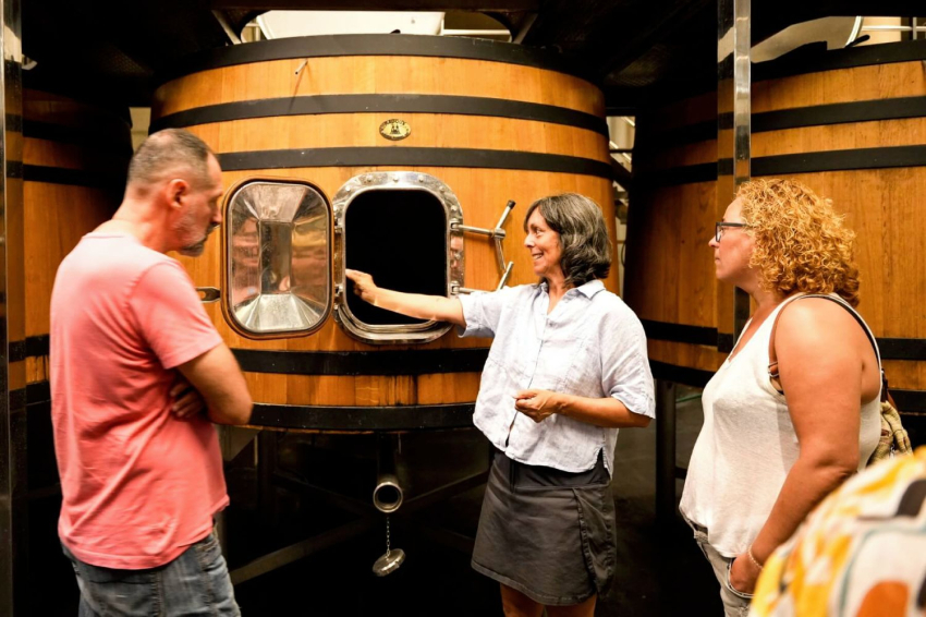 Celler Ferrer Bobet (2 Celler Ferrer Bobet Falset Visita)