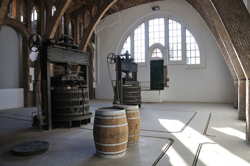 Cooperativa de Gandesa (4 Celler Gandesa Sala Prensas)