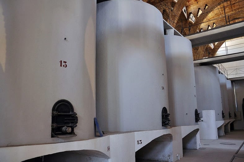 Cooperativa de Gandesa (6 Celler Gandesa Sala Tinas)