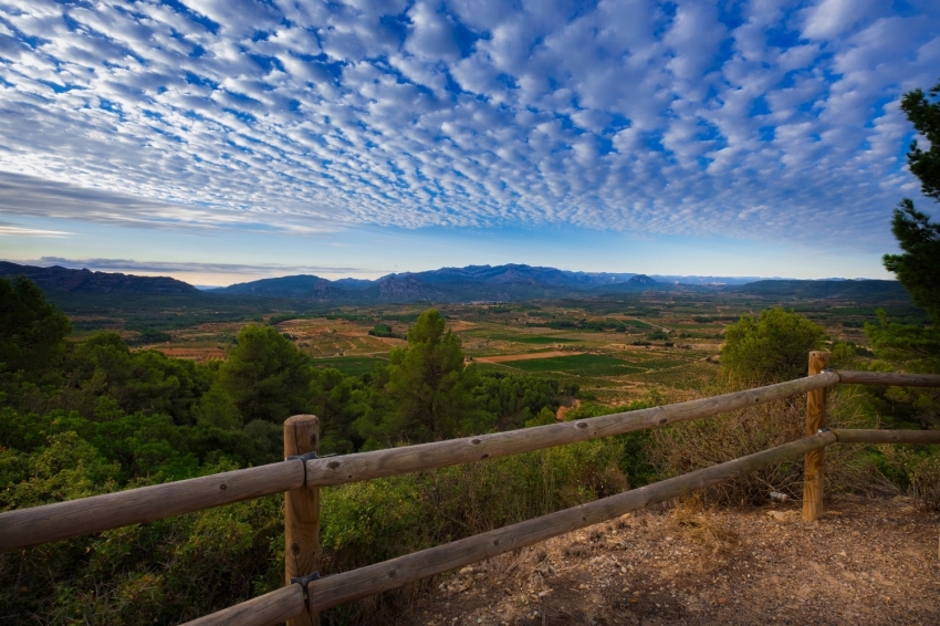 Enoturisme Celler Piñol
