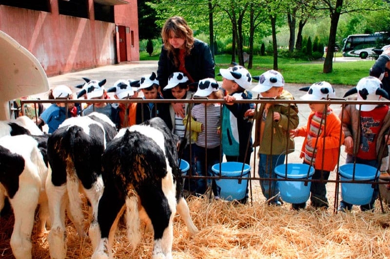 La Fageda (Visita Vedells)