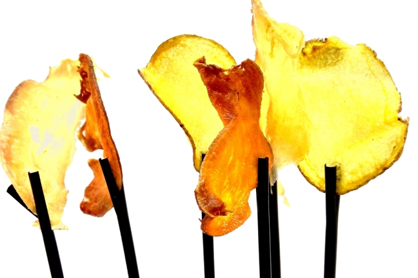 El Dien Restaurant (El Dien Restaurant)