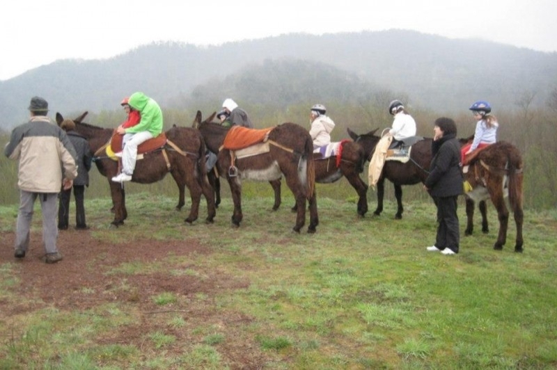 Rucs i Someres (Rucs I Someres)