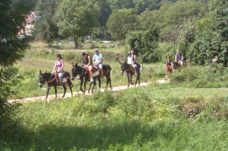 Rucs i Someres (Rucs I Someres La Moixina)