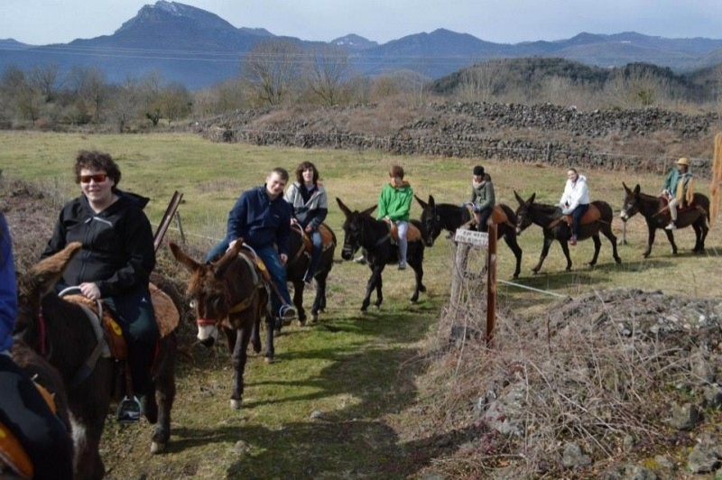 Rucs i Someres (Rucs I Someres)