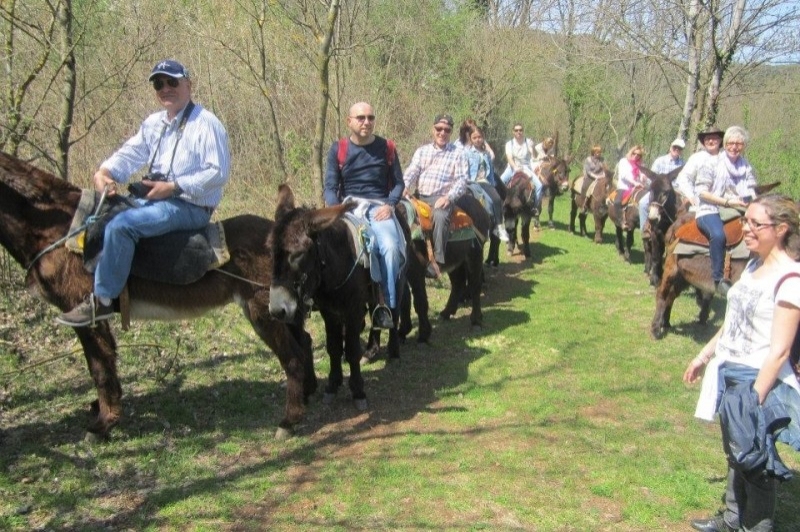 Rucs i Someres (Rucs I Someres)