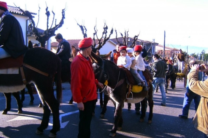 Rucs i Someres (Rucs I Someres Taradell)