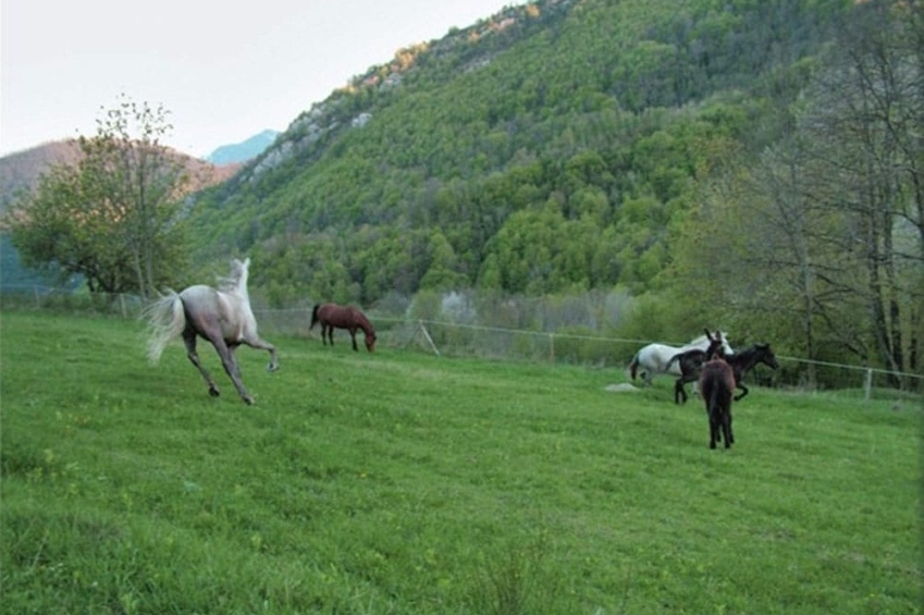 Casa Etxalde (Casa Etxalde Camprodon)