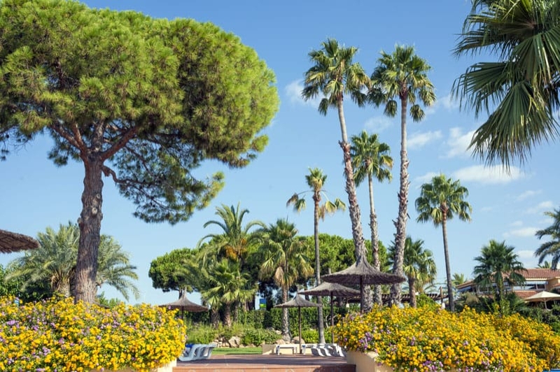 Càmping Stel (Entrada Piscina Tumbones)