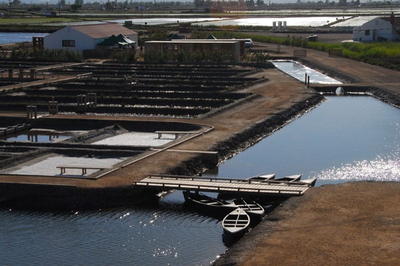 MónNatura Delta de lEbre (Plantacions Del Delta)