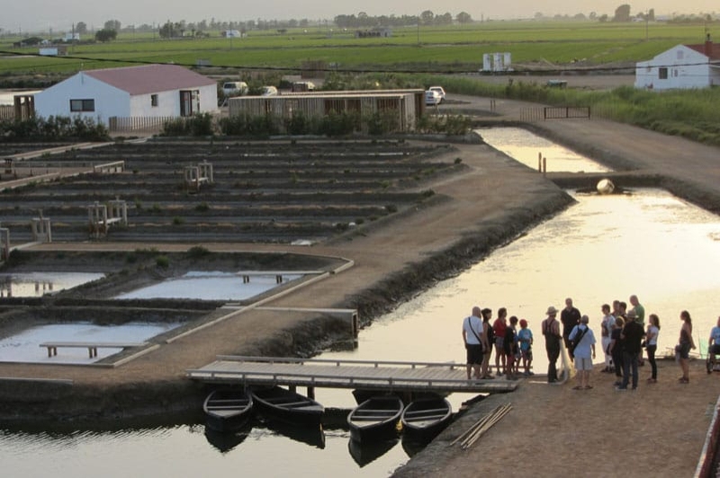 MónNatura Delta de lEbre (Visites Guiades Pel Delta Ebre)