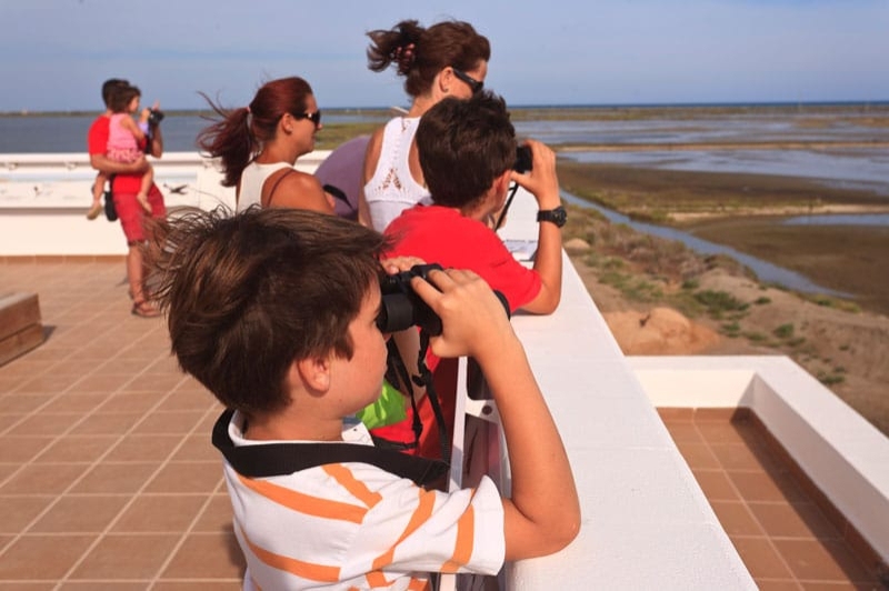 MónNatura Delta de lEbre (Observatori Aus Del Delta)