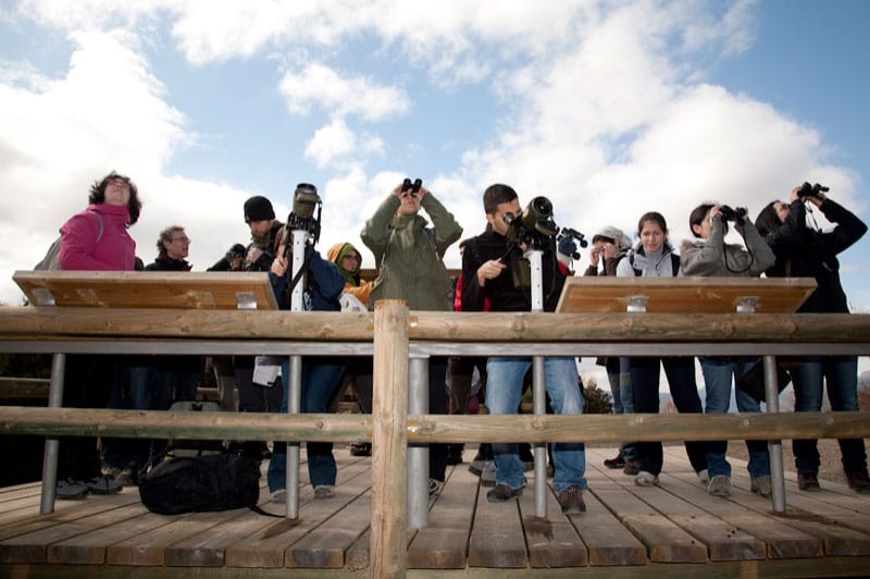 Espai Natura Muntanya d’Alinyà (El Mirador Dels Voltors)
