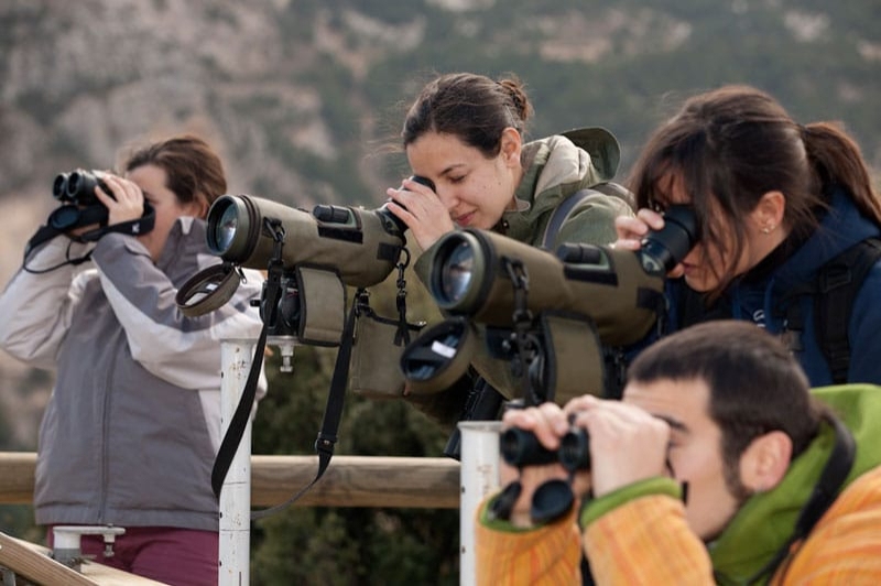 Espai Natura Muntanya d’Alinyà (Mirador De Voltors Isards I Galls Fer)