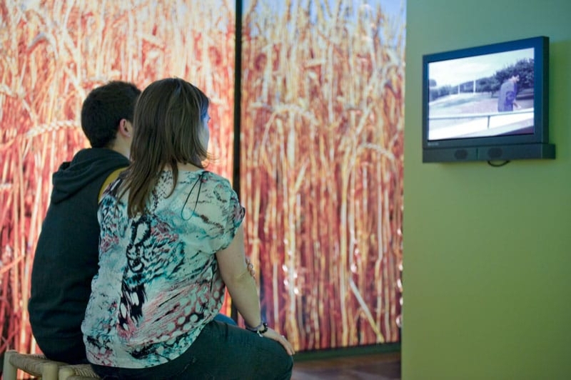 Museu Terra (Espai Audiovisual)