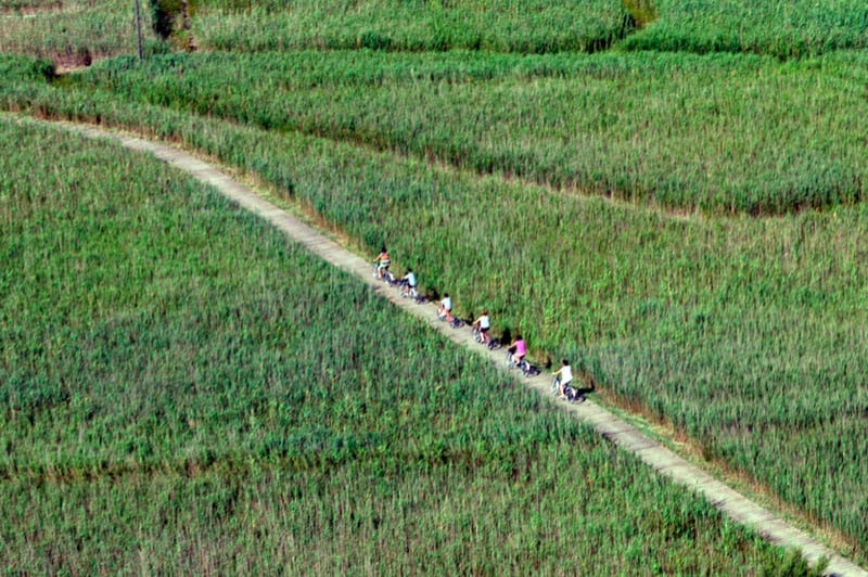 Càmping Ampolla Playa - Taiga Delta de lEbre (Lloguer I Activitats En Bicicleta)