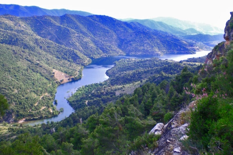 Càmping Prades Park (Entorn 2)