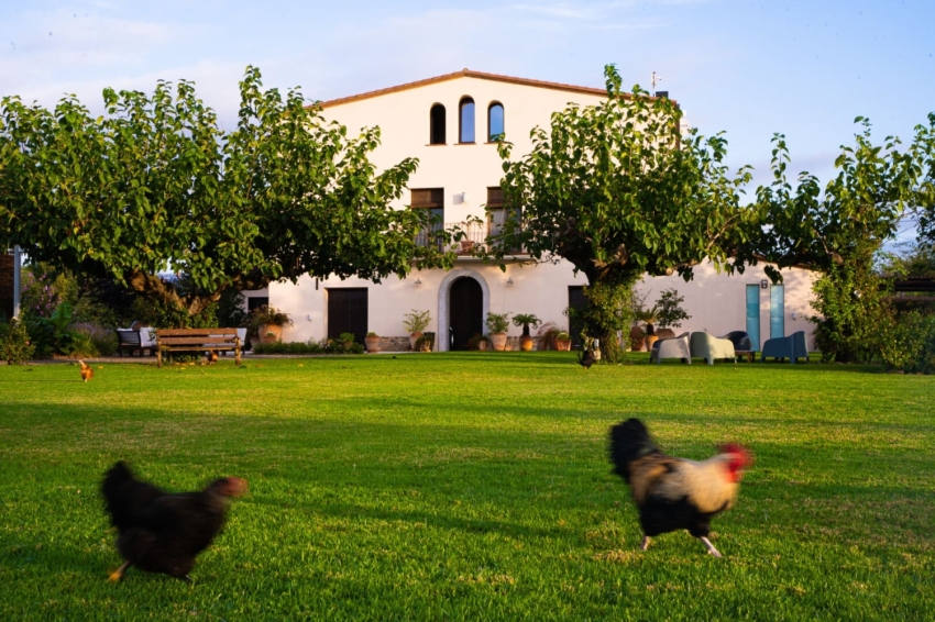 Casa Rural Mas Montbrió Belvedere (Mas Montbrio Belvedere)