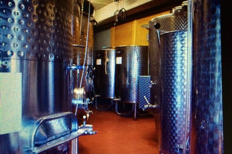 Bodegues Visendra (Descobreix Com Es Fa El Vi)