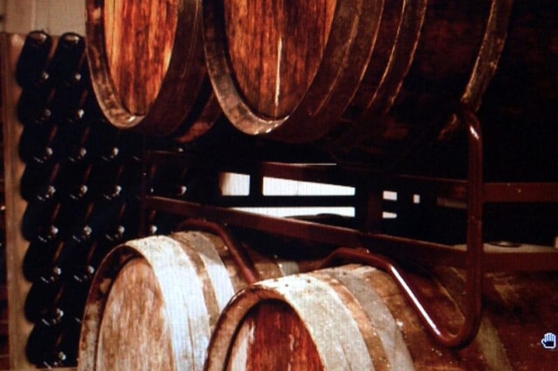 Bodegues Visendra (Visita A La Bodega)