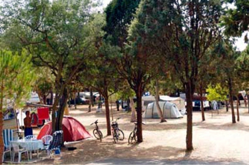 Càmping Relax-Nat (Naturista) (Tendes)