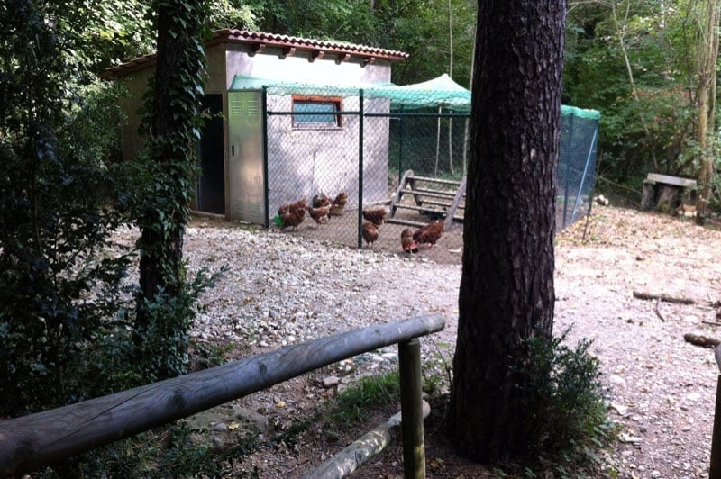 Càmping Puigcercós (Gallines)