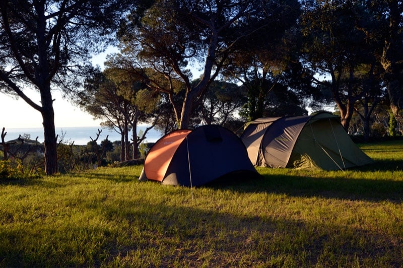 Càmping Moby Dick (Tenda)