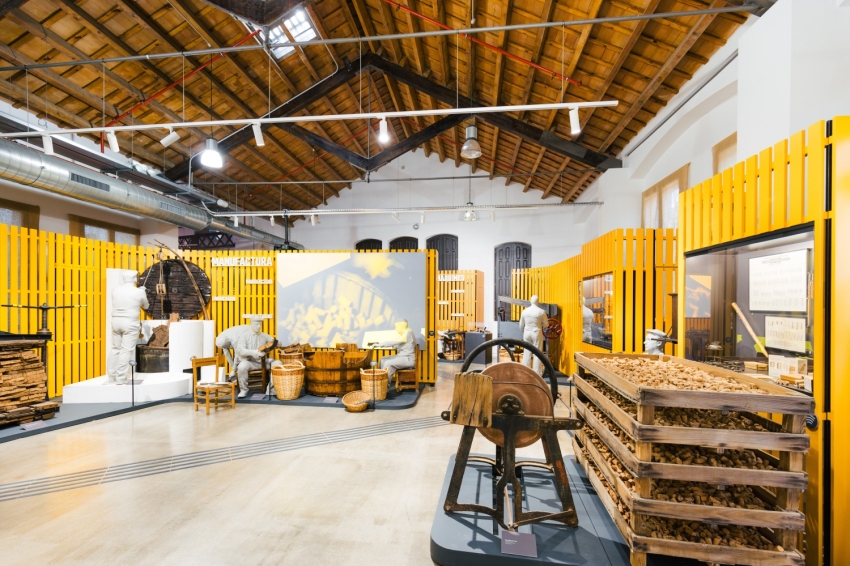 Museu del Suro de Catalunya (Museu Del Suro De Catalunya)