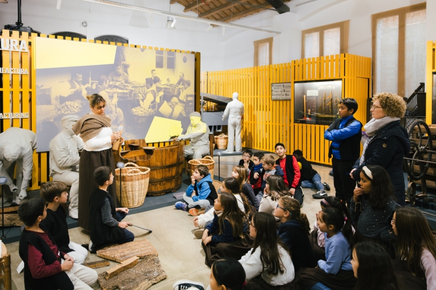 Museu del Suro de Catalunya (Museu Del Suro De Catalunya)