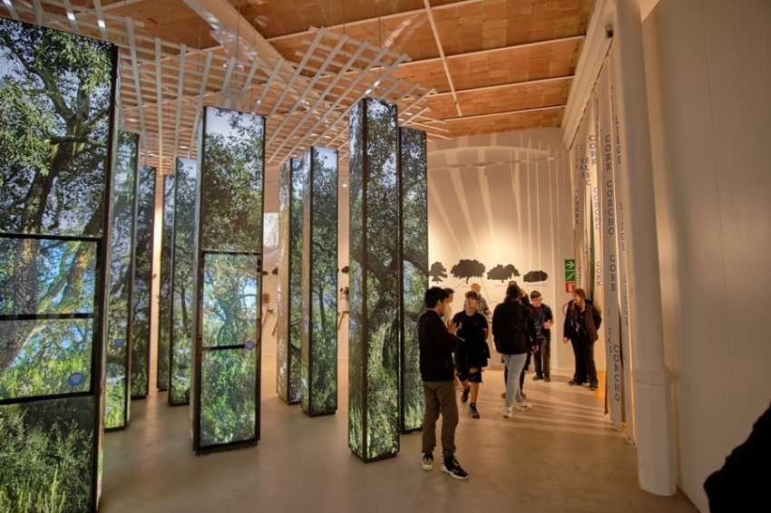 Museu del Suro de Catalunya (Museu Del Suro De Catalunya)