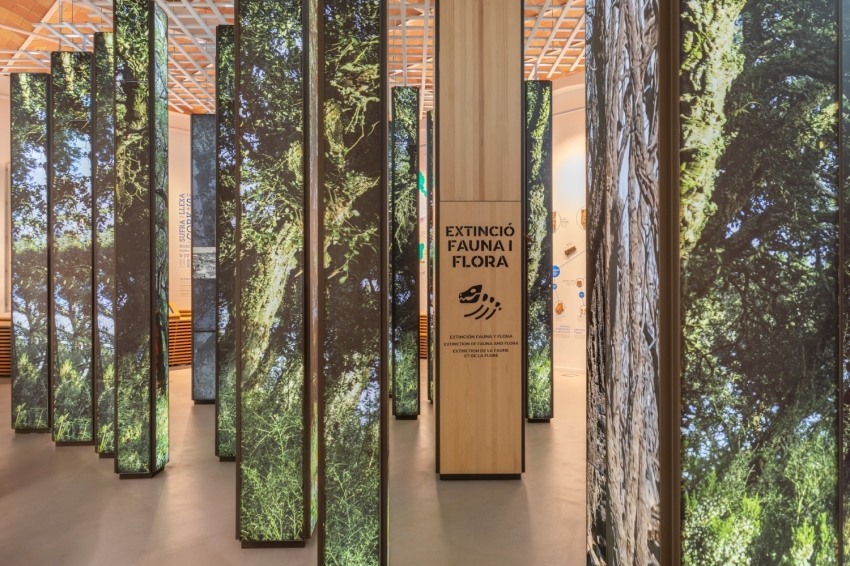 Museu del Suro de Catalunya (Museu Del Suro De Catalunya)