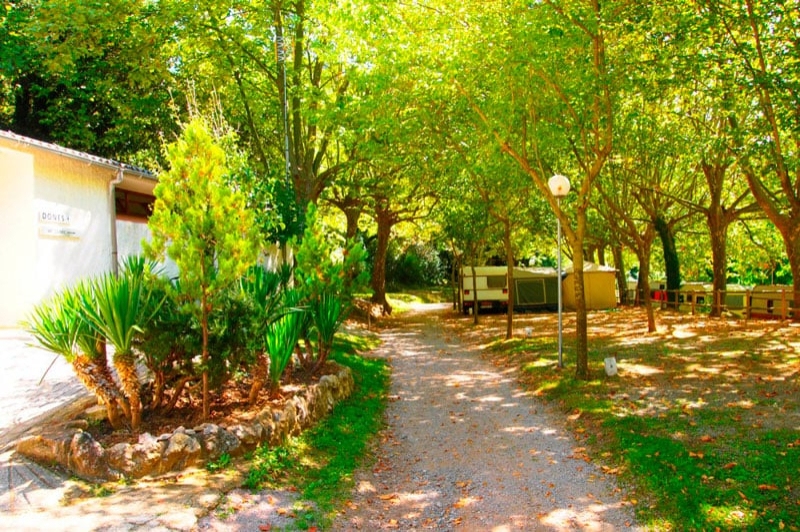 Càmping lIlla (Camping 2)