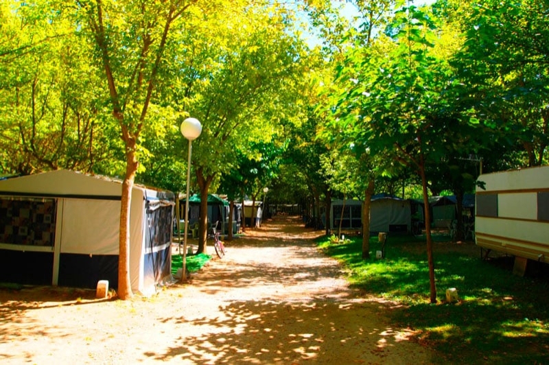 Càmping lIlla (Camping)