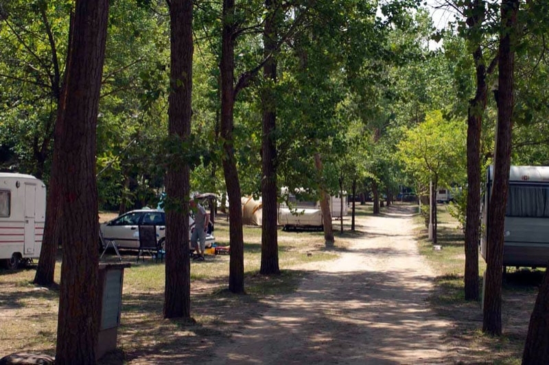 Càmping El Vedado (Camping)