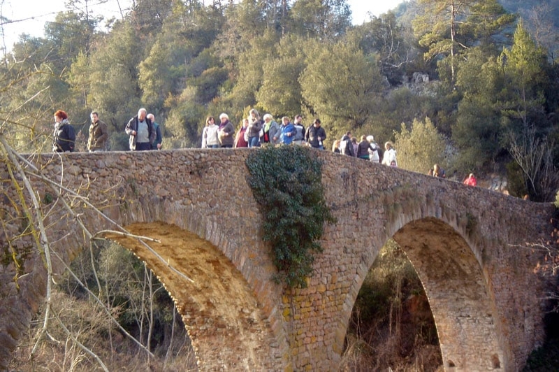 Càmping El Pont de Barcelona (Pont)